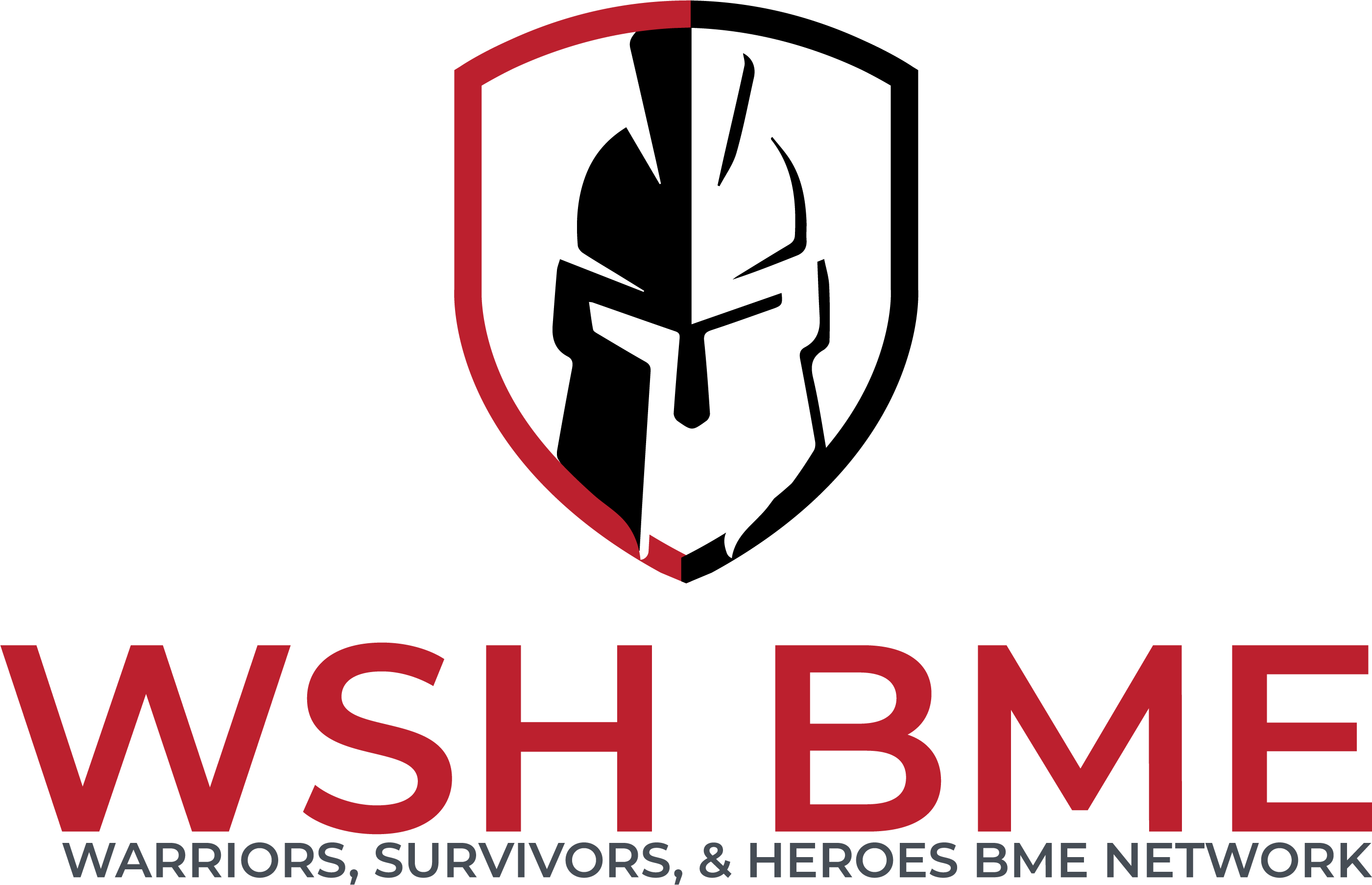 WSH BME Kidney Network